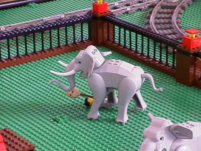 zooelephant.jpg