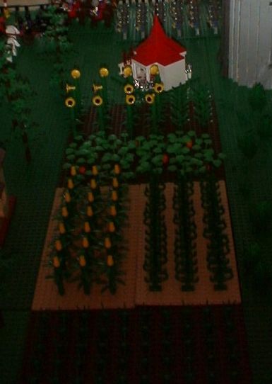 kd05cfarm.jpg