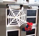 tspideys.jpg