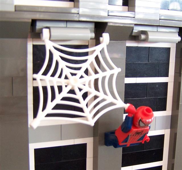 tspideys.jpg