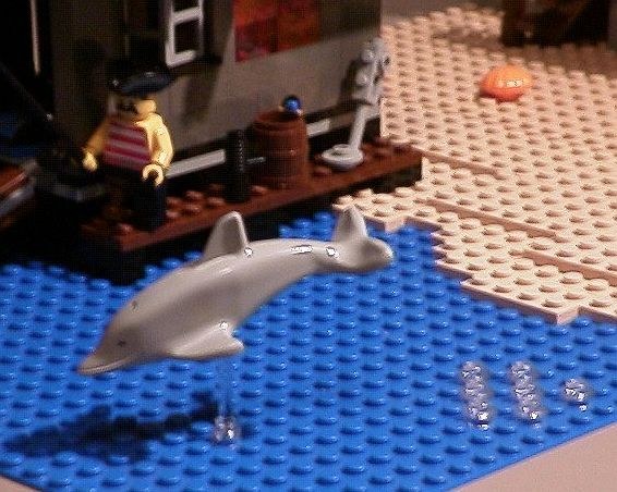 beachdolphin.jpg