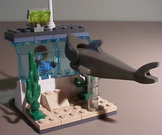 vsharkscare1.jpg