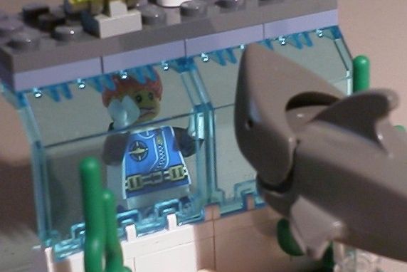vsharkscare2.jpg