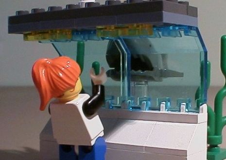 vsharkscare3.jpg