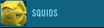 squidav.gif