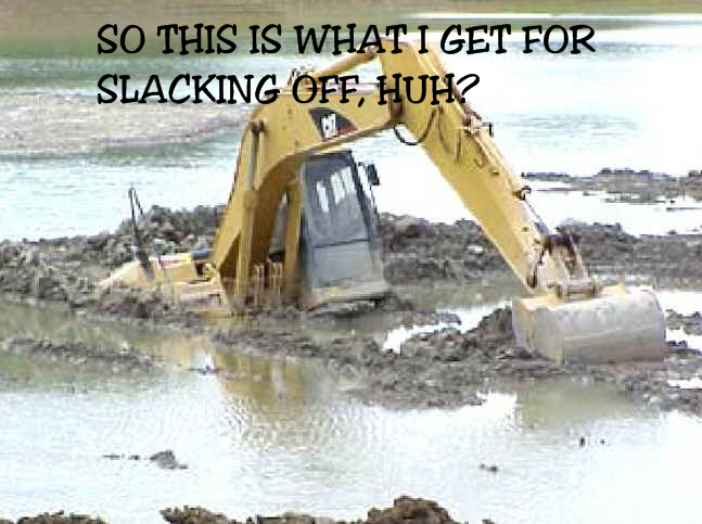 funnyphotosii.png