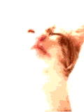 catscreen.gif