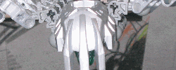 spiderz.gif