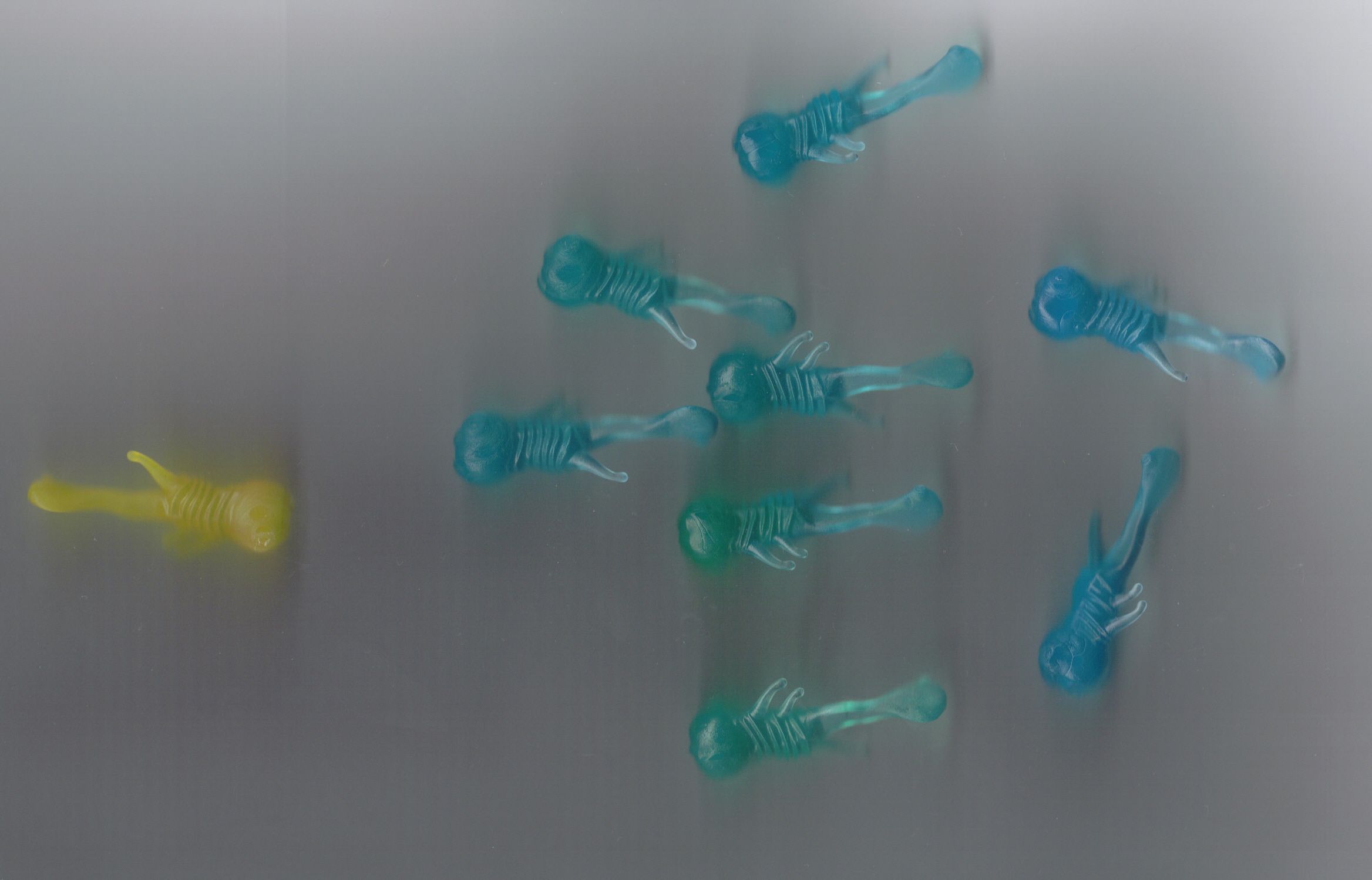 squidstuff.jpg