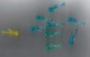 squidstuff.jpg