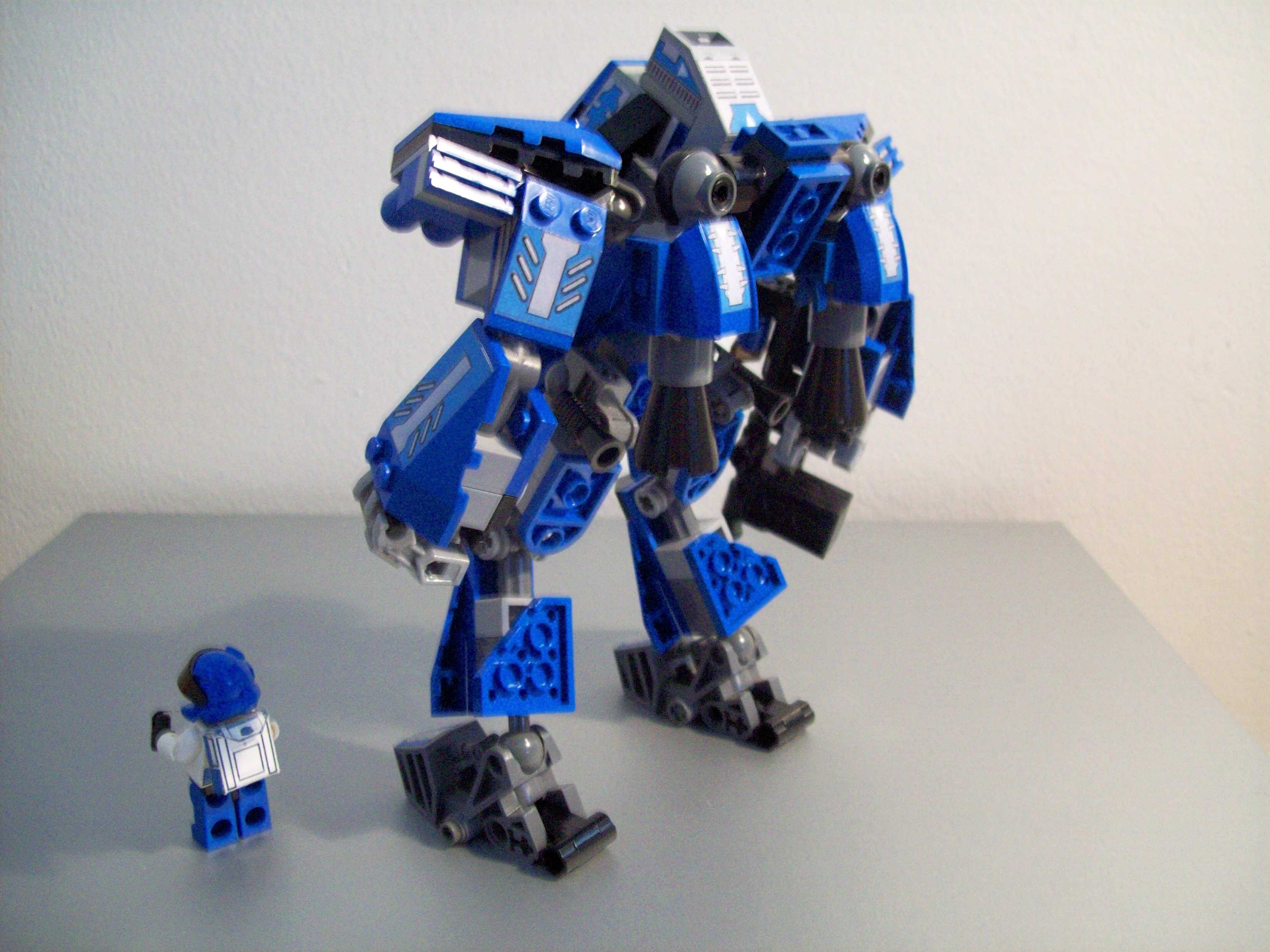 little_blue_2.jpg