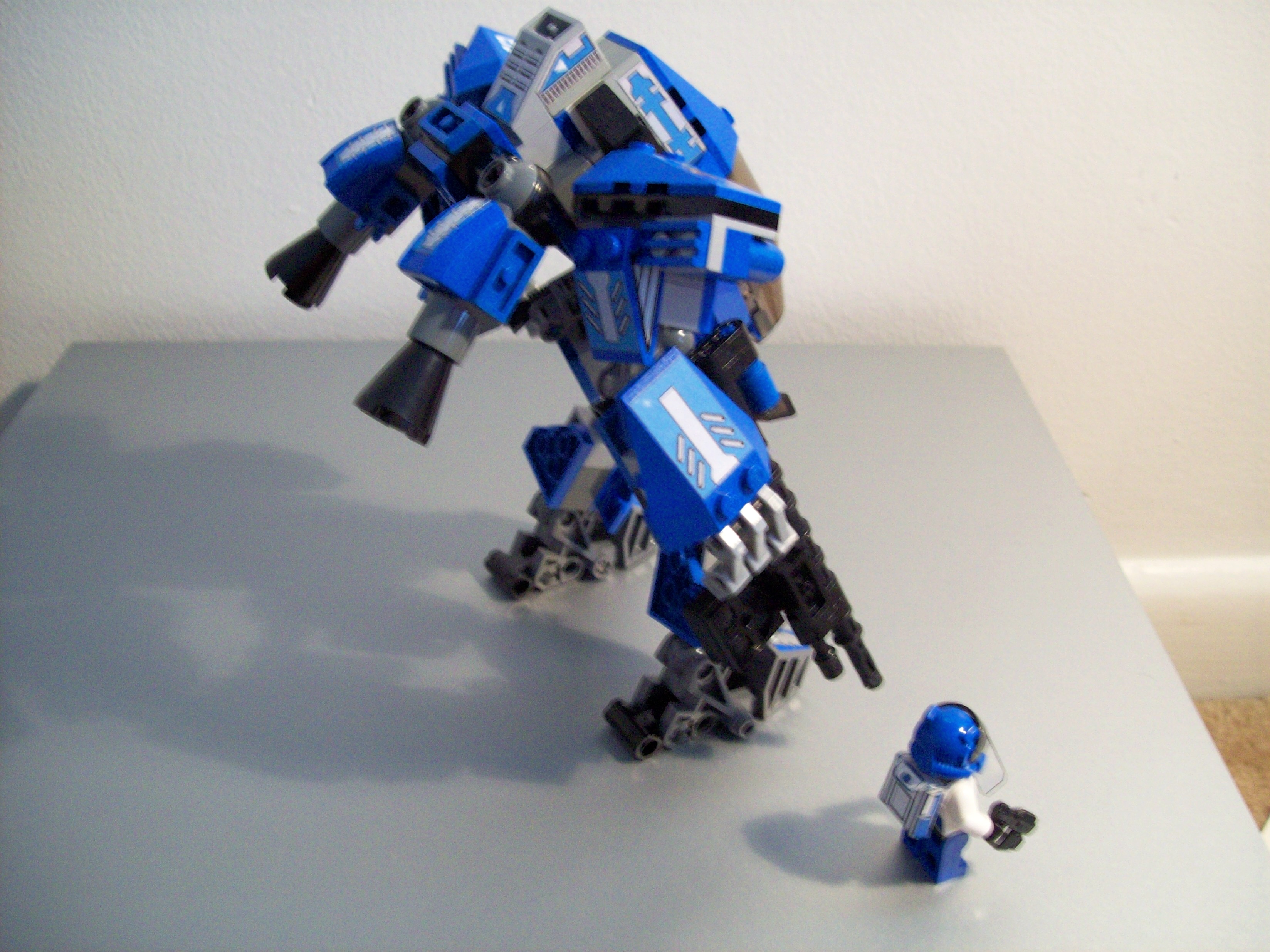 little_blue_3.jpg