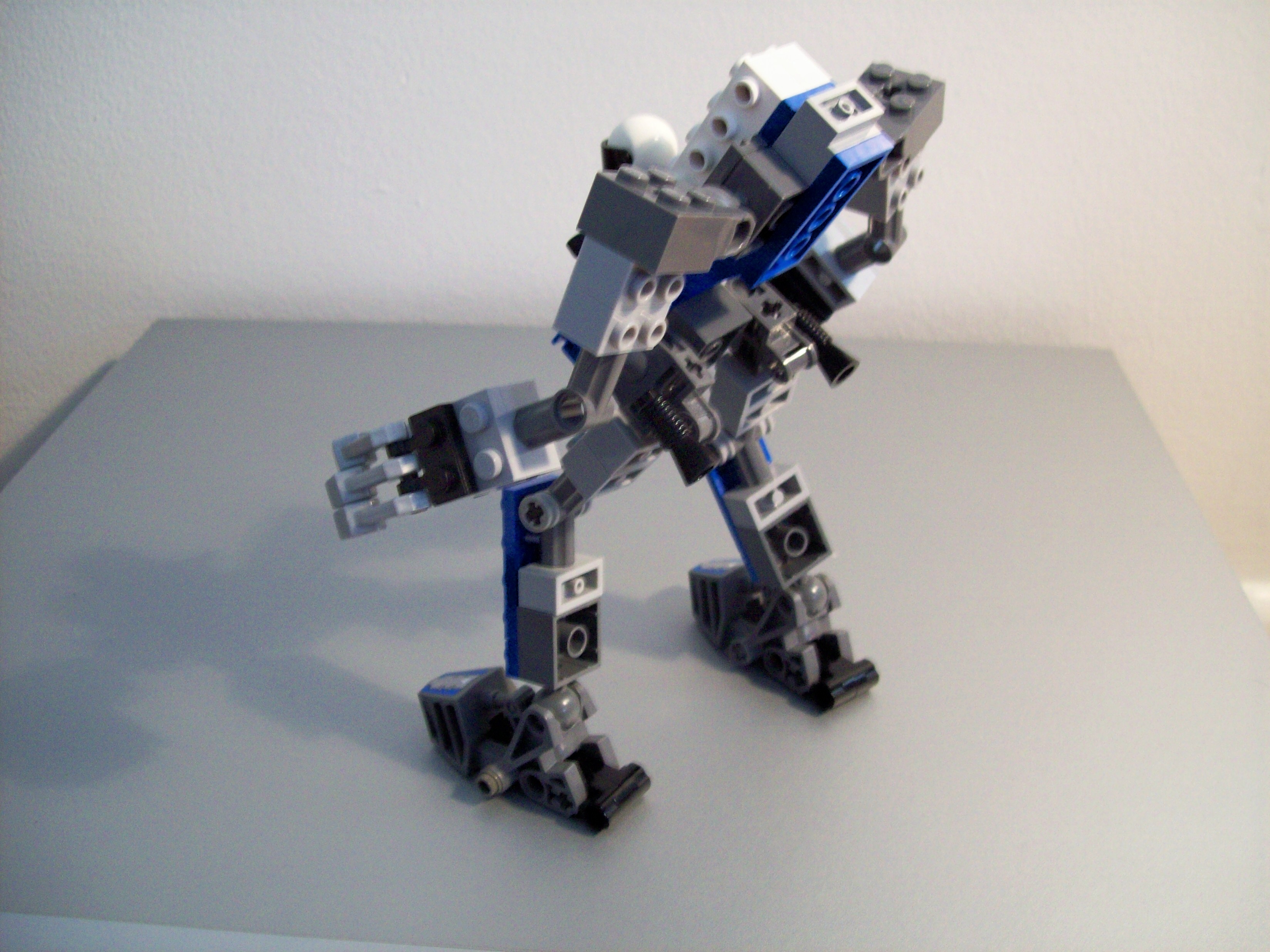 little_blue_unvieled_frame_2.jpg