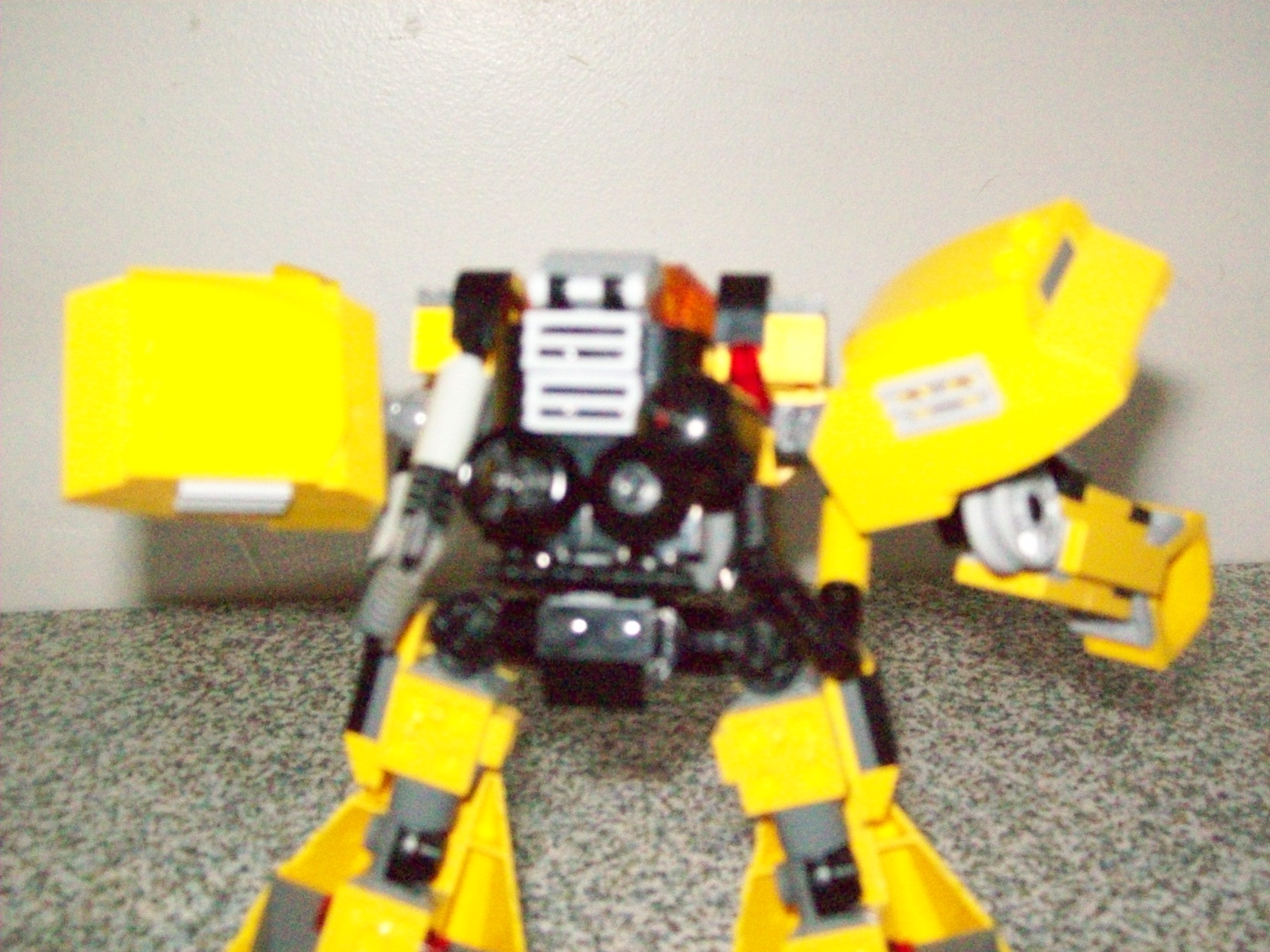 100_0255.jpg