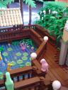 dsc04907.jpg