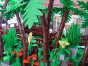 dsc04908.jpg