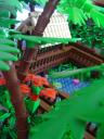 dsc04918.jpg