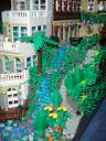 dsc05344.jpg