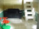 dsc05350.jpg