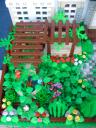 dsc07093.jpg