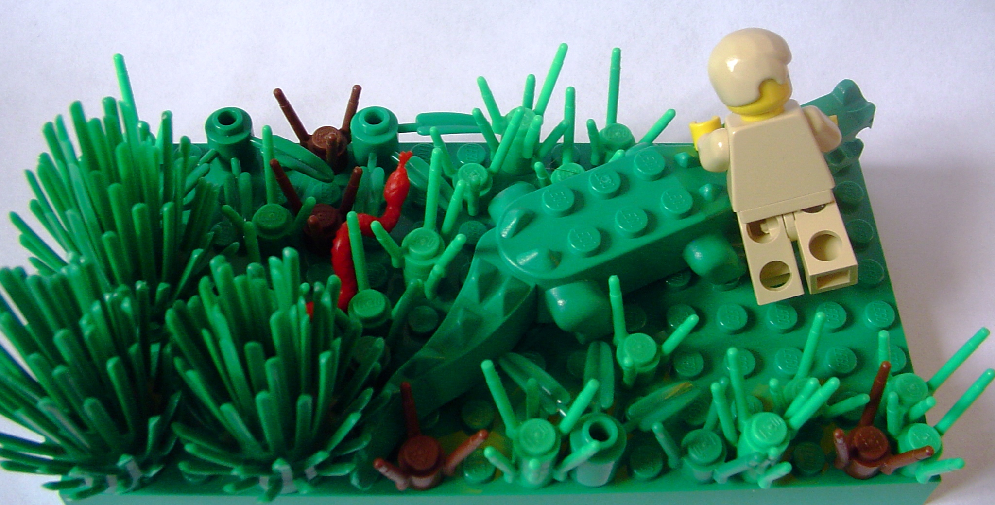 steveirwin3.jpg