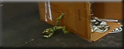 master-chief_-_stuck.jpg