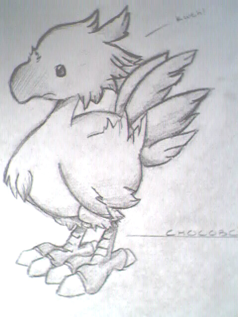 chocobo.jpg