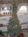 christmastree1.jpg