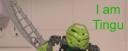 tingu.jpg