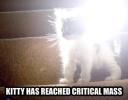 kitty_reached_critical_mass.jpg