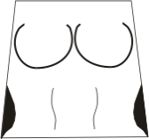 female_template.png