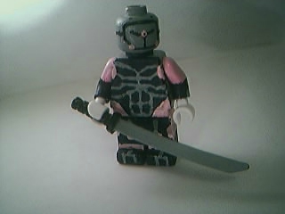 ninja_2.jpg