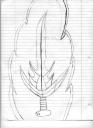 drawings