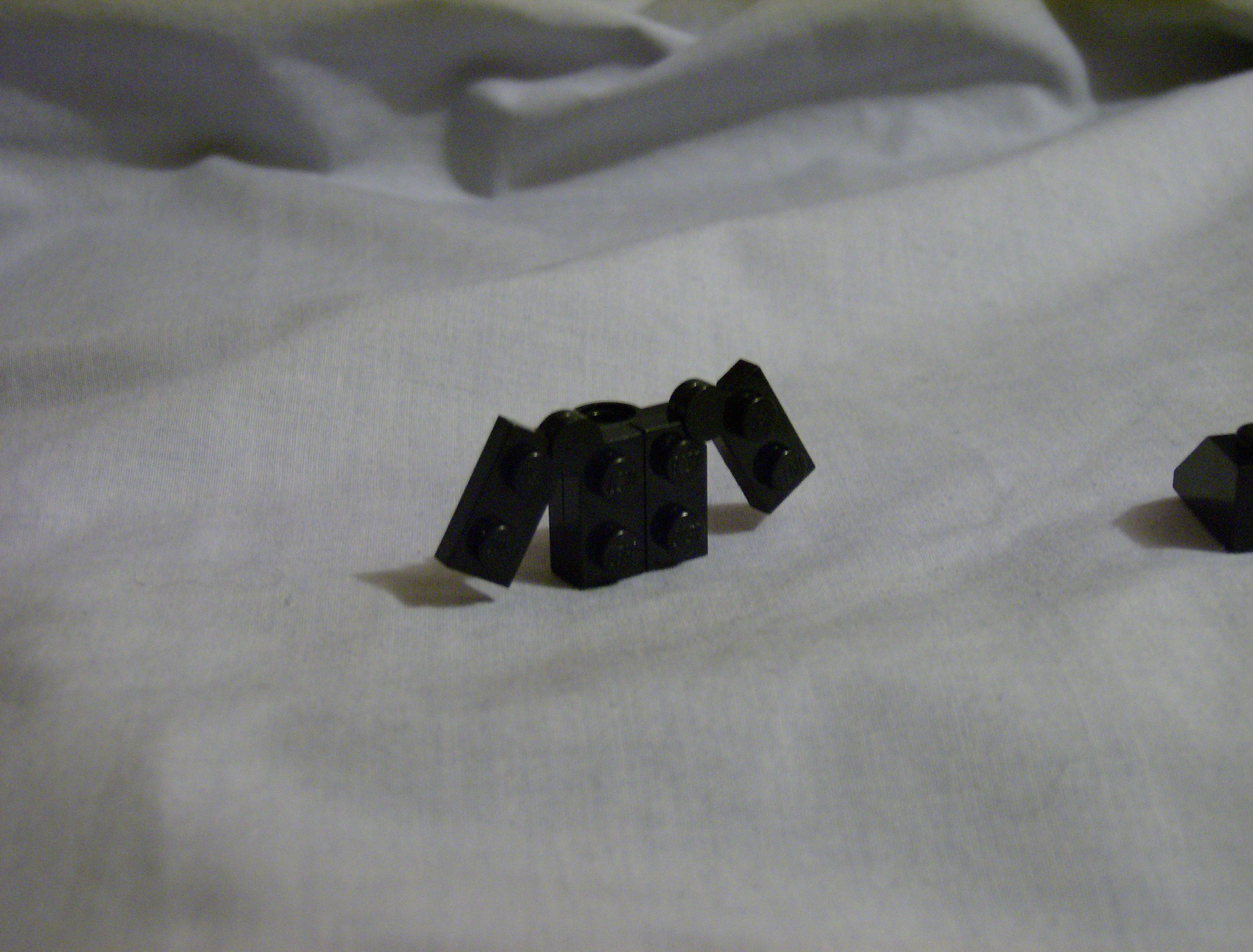 step_4_head-2.jpg