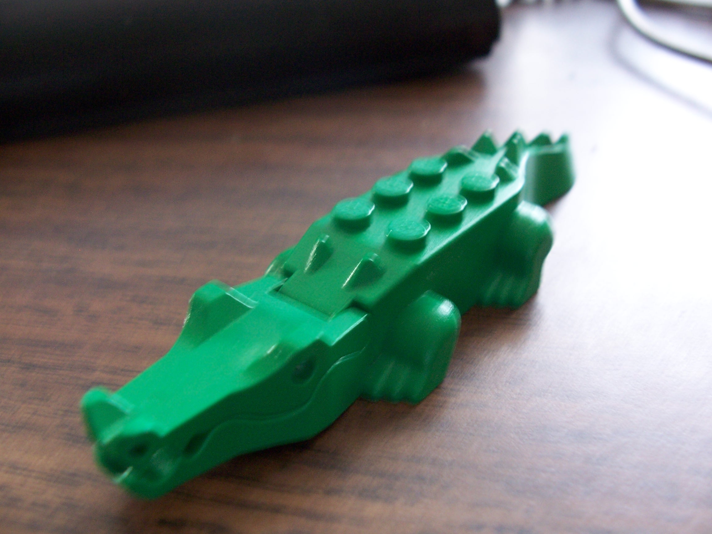 crocodile.jpg