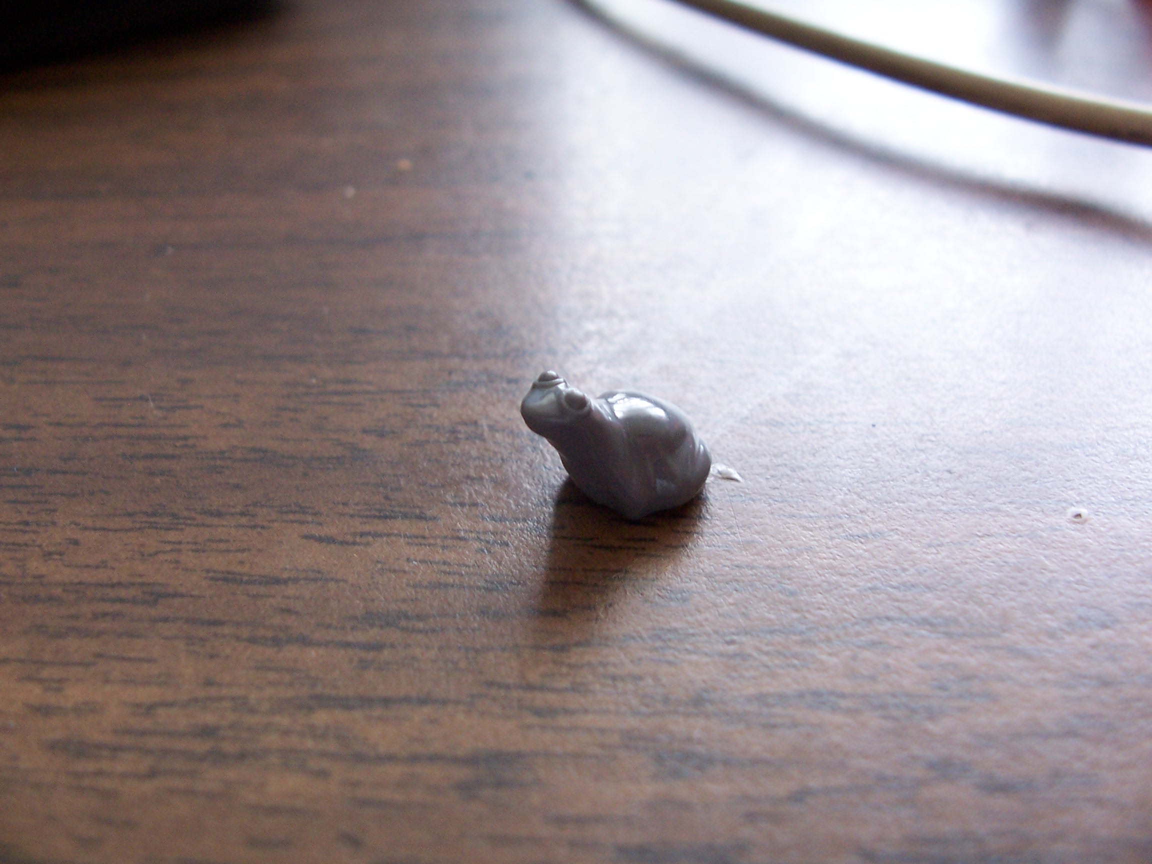 frog.jpg
