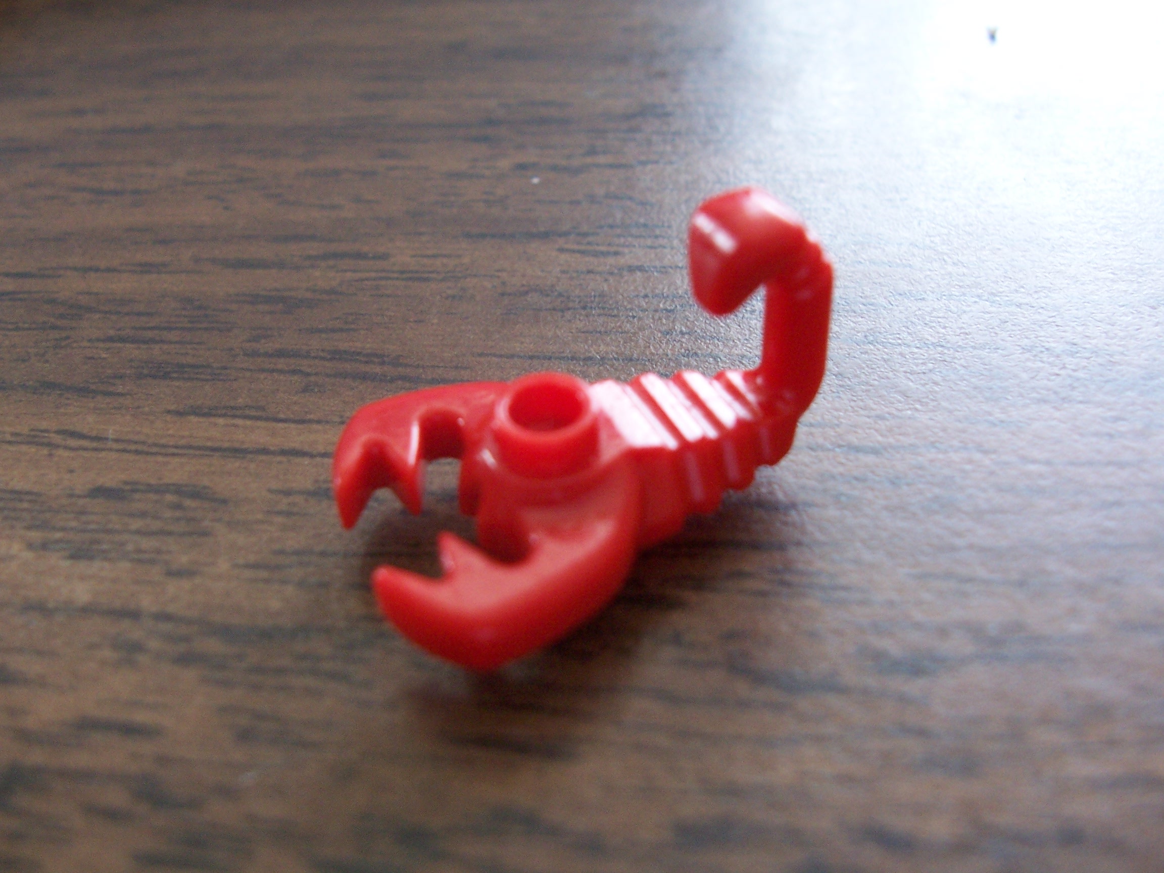scorpion.jpg