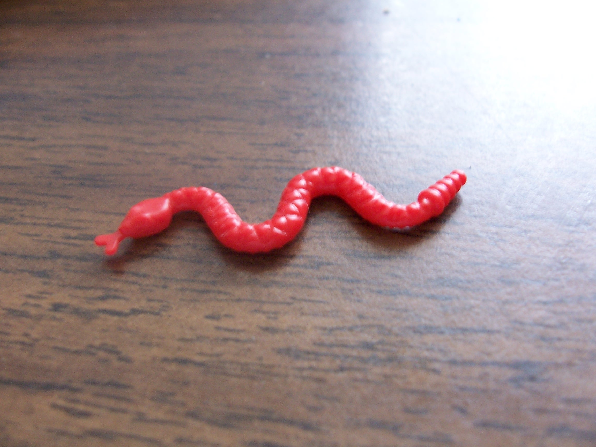 snake.jpg