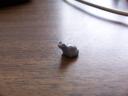 frog.jpg