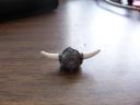 horned_helm.jpg