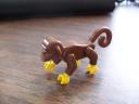 monkey.jpg