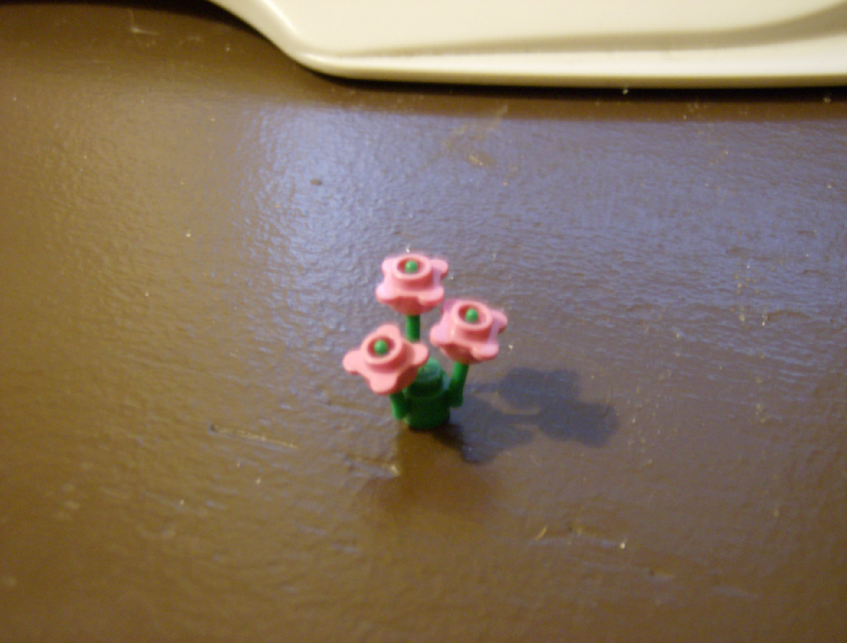 pink_flowers.jpg