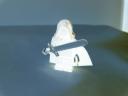 twilight_wring_wraith.jpg