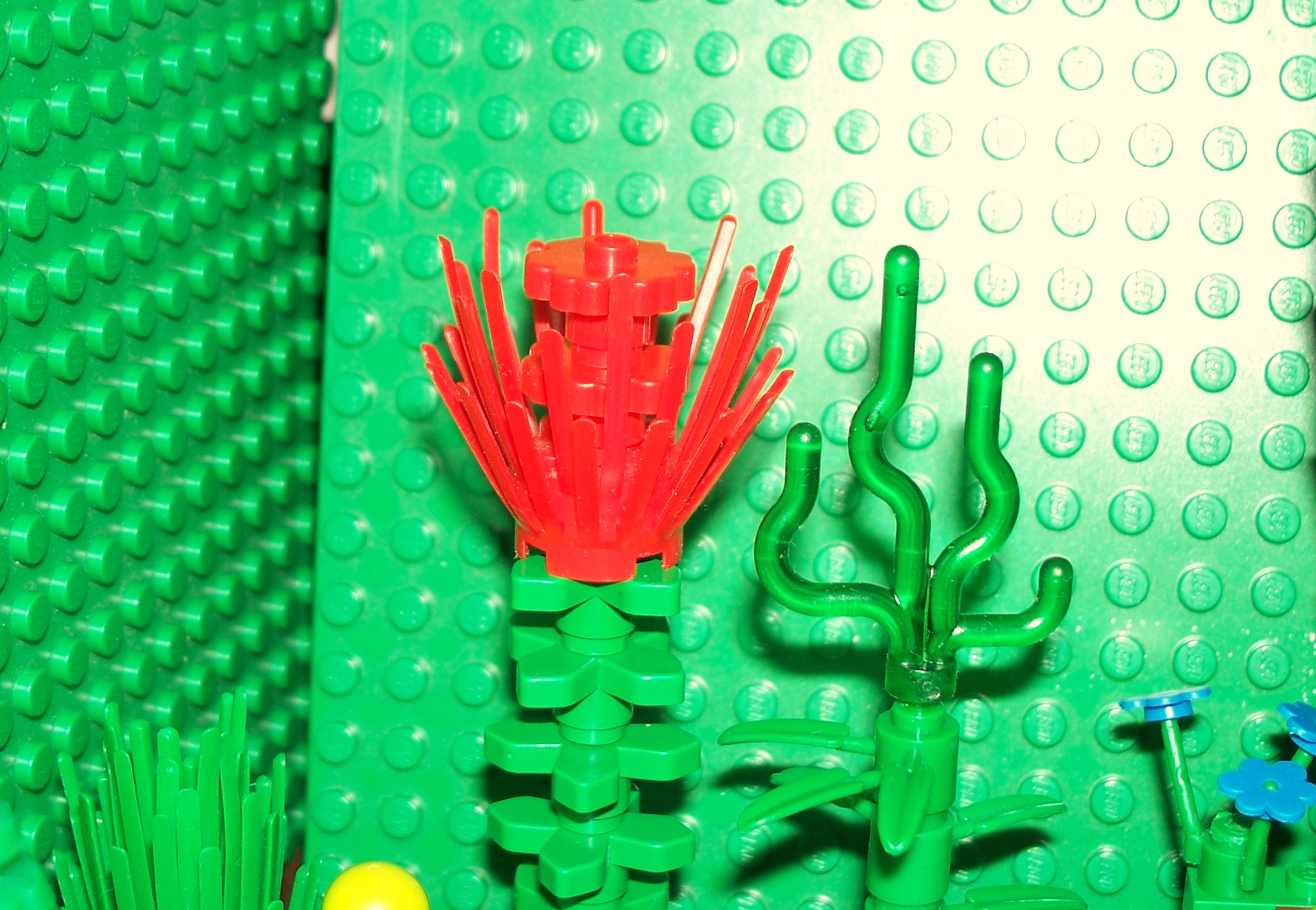 lego_pics_001.jpg