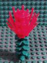 rosebush_plant.jpg