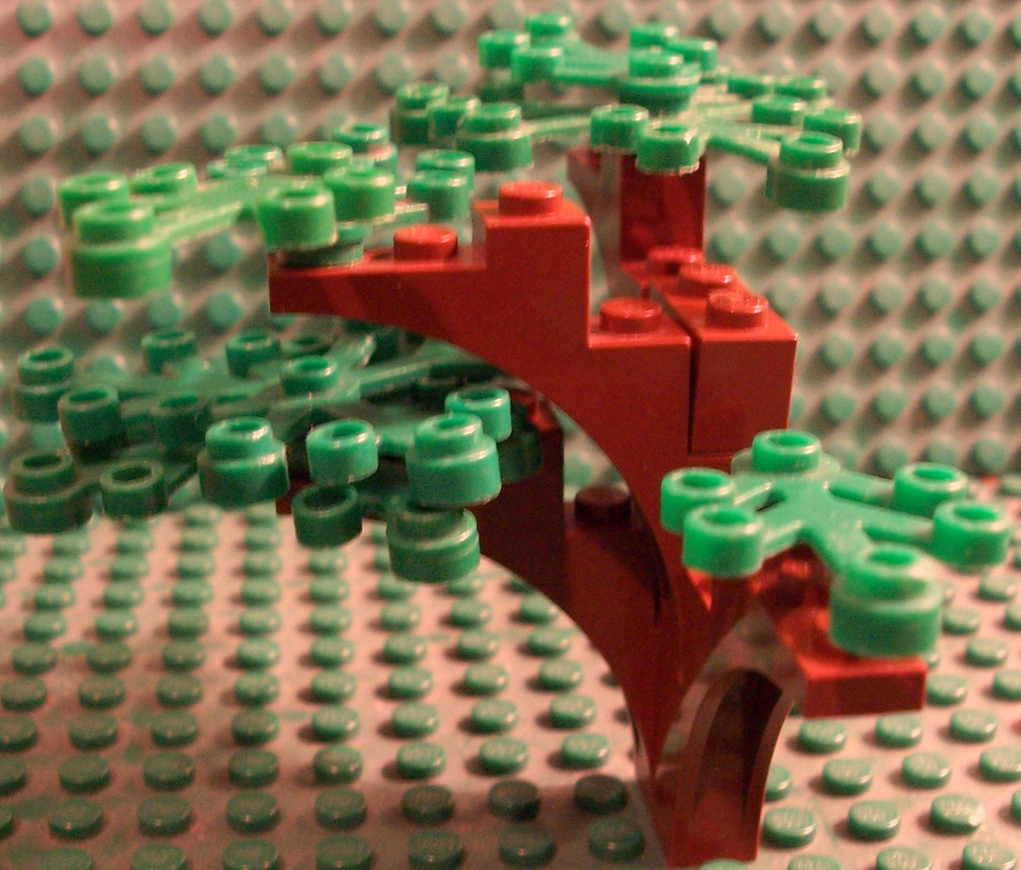 tree_1.jpg