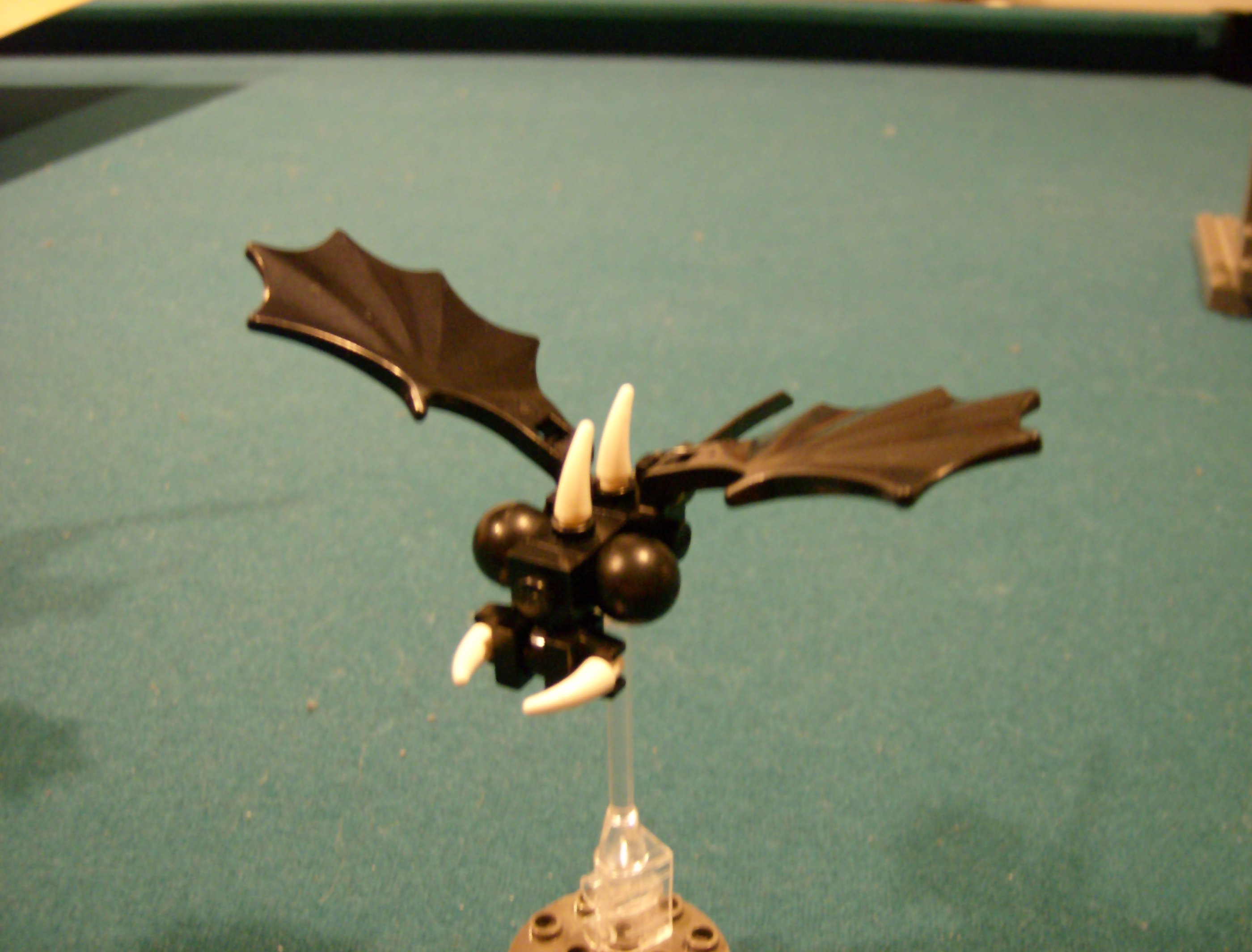 demon_fly_2.jpg