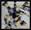 Surgeon-Spider