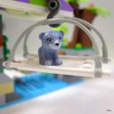 03-img_6620.jpg