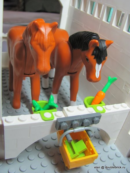 horses1.jpg